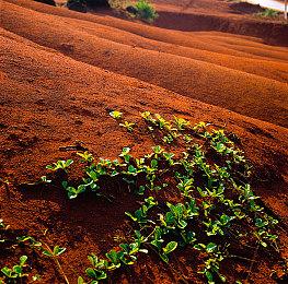 《神狱塔：断罪玛丽2》上架Steam 新预告公布